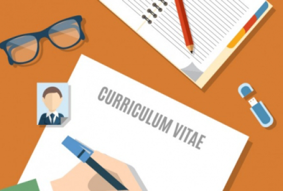 9 puncte ale unui CV profesionist